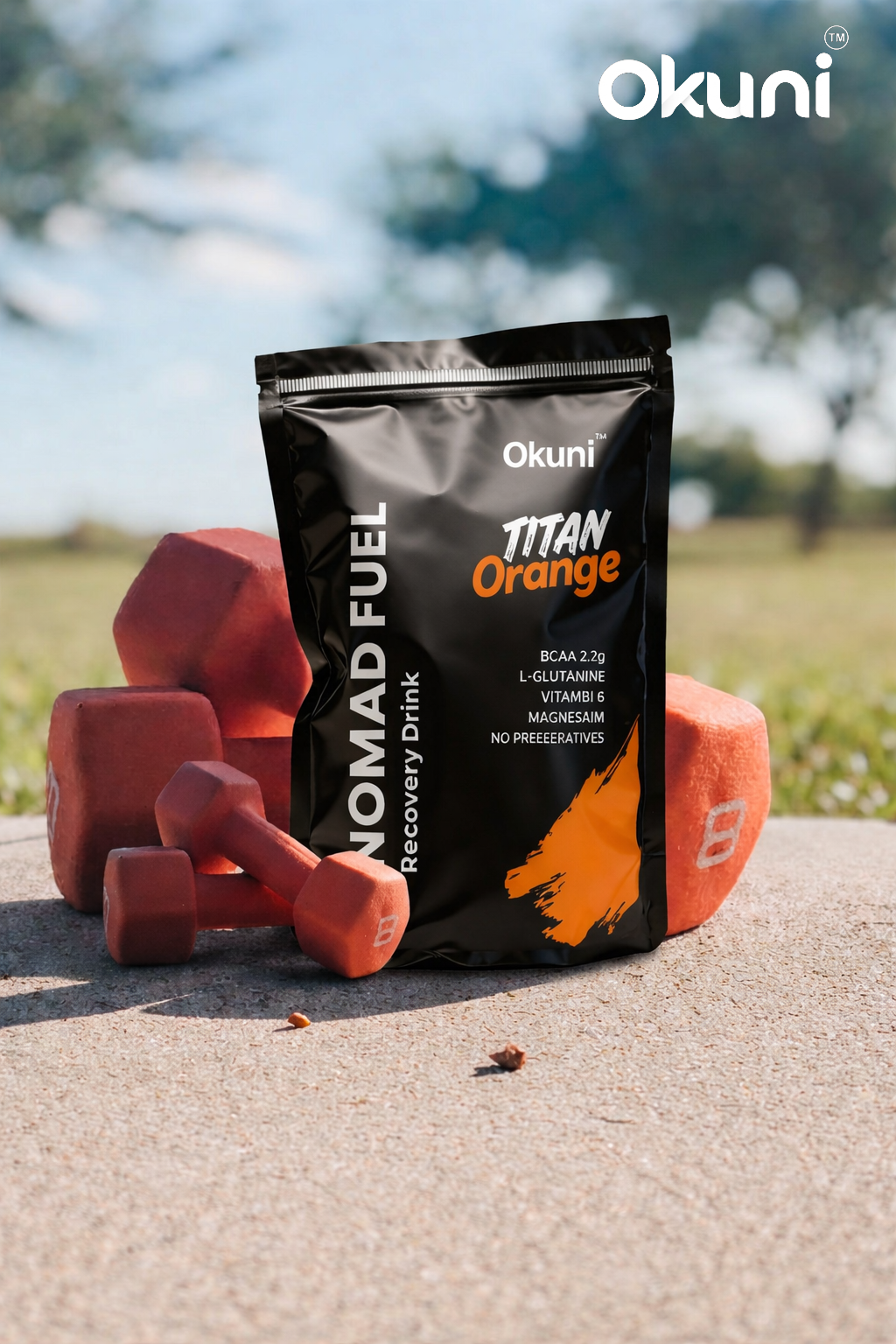 Nomad Fuel – Orange Titan | BCAA & Electrolyte with Magnesium & B-Vitamin Complex Recovery Matrix (Pack of 1)